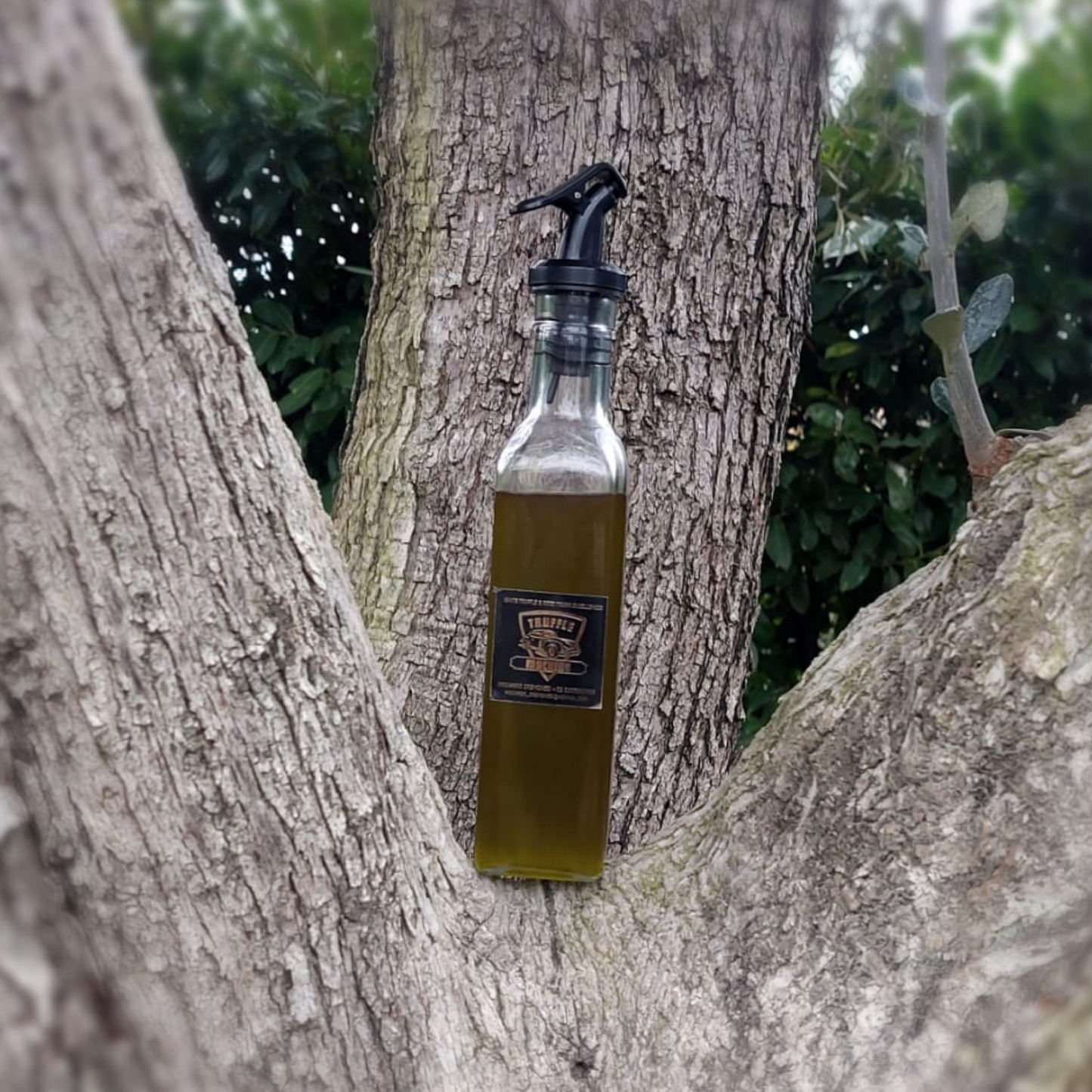 Oliera da tavola 250 ml